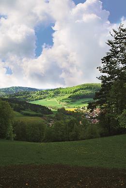 Hotel Berggasthof Igelwirt Schnaittach
